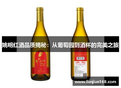 姚明红酒品质揭秘：从葡萄园到酒杯的完美之旅